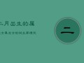 二月出生的属龙女：真龙女的诞生，家境优越性格坚韧