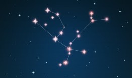 白羊座的生肖马2023年运势